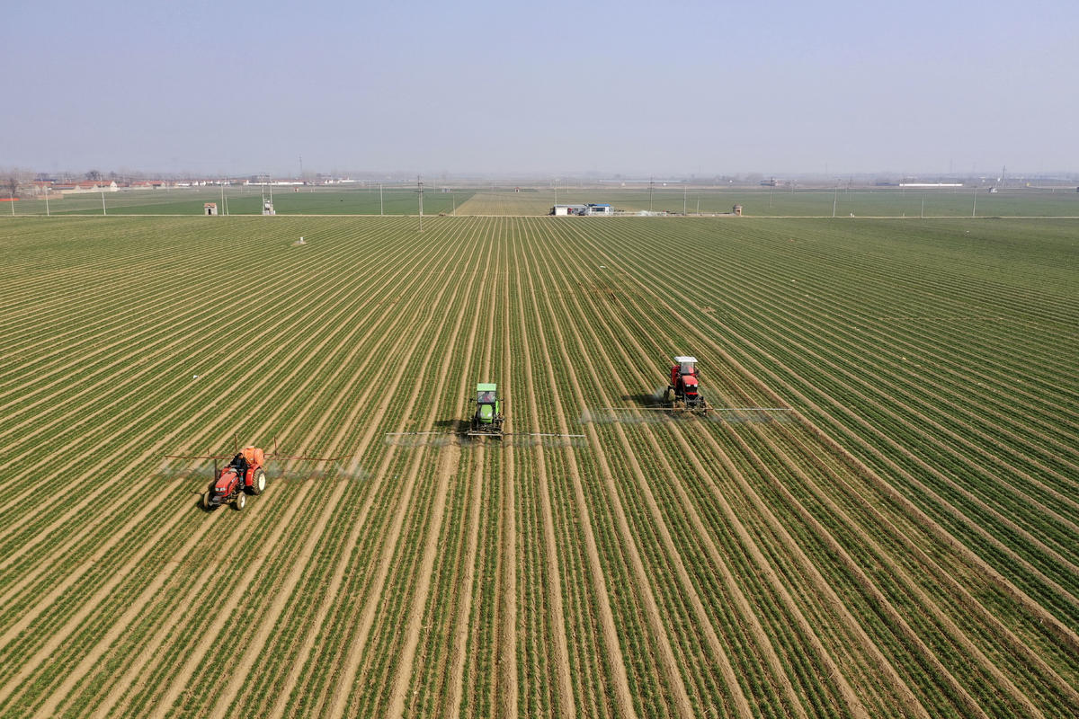 ���գ���ɽ�|ʡ�|�I�ЏV���h�������ֲ���C(j��)���ڞ������M(j��n)�Ї�ˎ���I(y��)�����ƽܔz