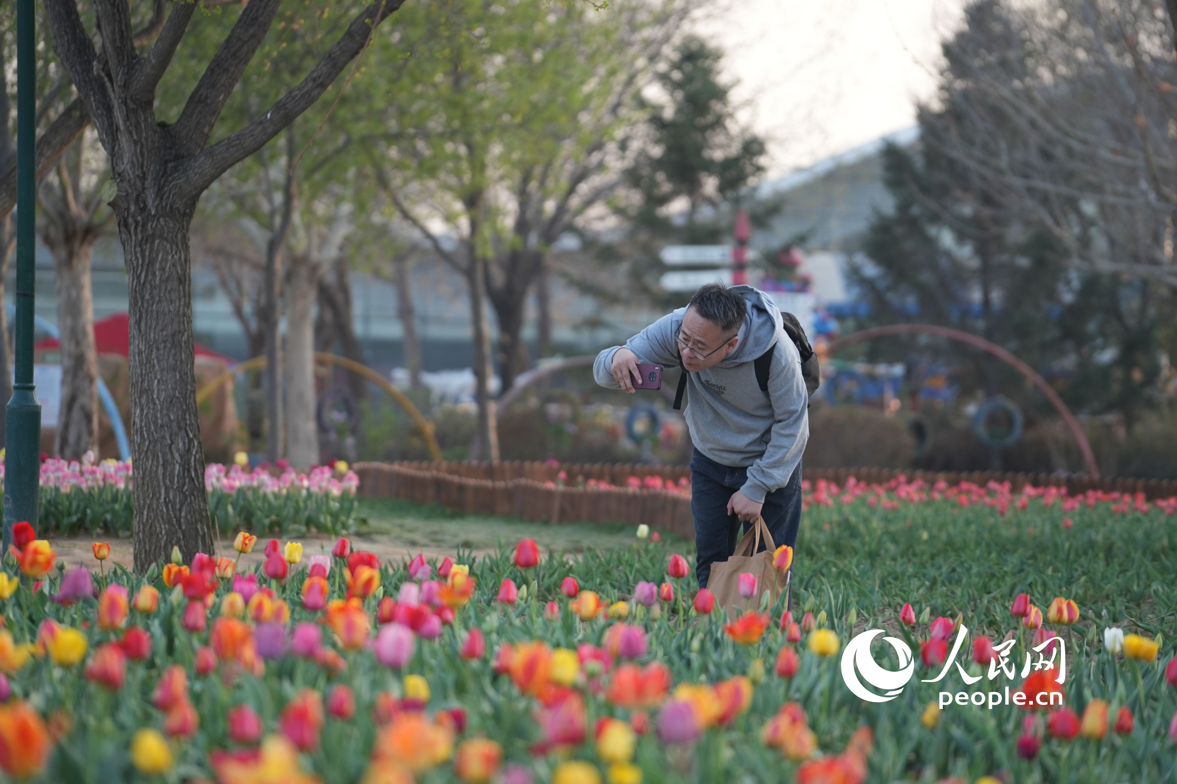 �ο��������㻨������������������W(w��ng)ӛ�� ���옷(l��)�z