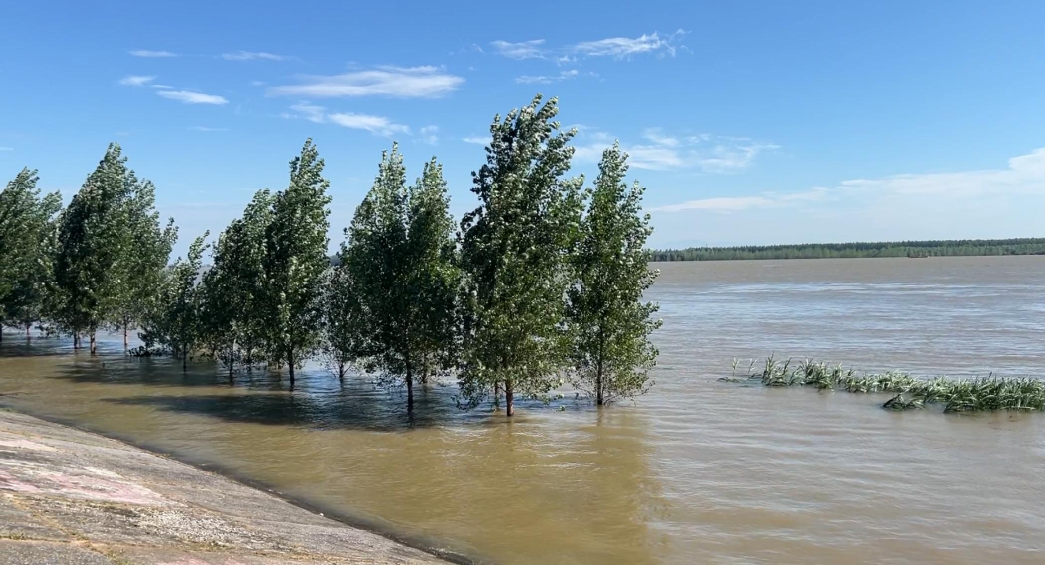 �������������U(xi��n)�����ص̘�(sh��)ľ���͛](m��i)������W(w��ng) �W�(y��ng)�׼єz