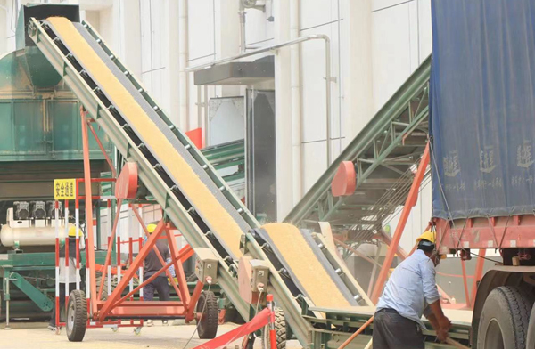 ���wֱ�َ��ļZ��ُ�F����С�������͎��M��Z�}�����L�߹��D