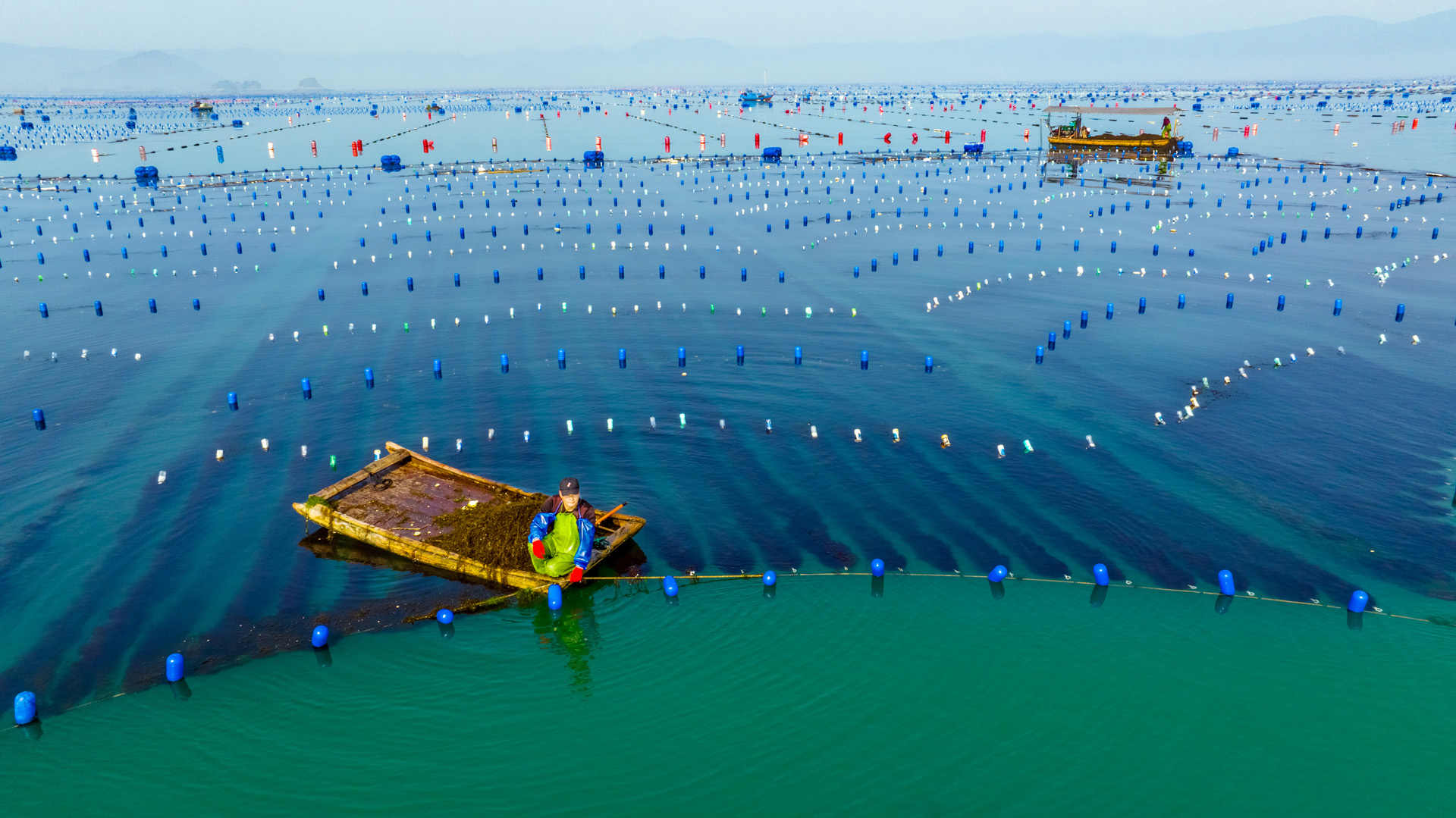 ����ʡ�������B���h�ġ������������L(f��ng)���箋�����ɘ��z