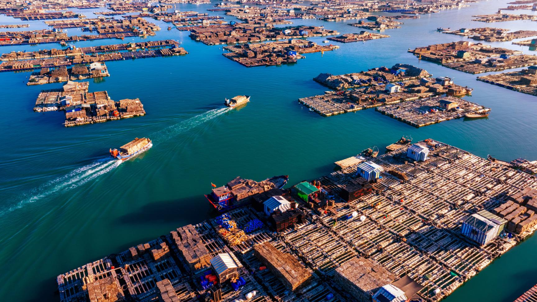 漁船穿梭在“海上牧場(chǎng)”之間。鄭成樂(lè)攝