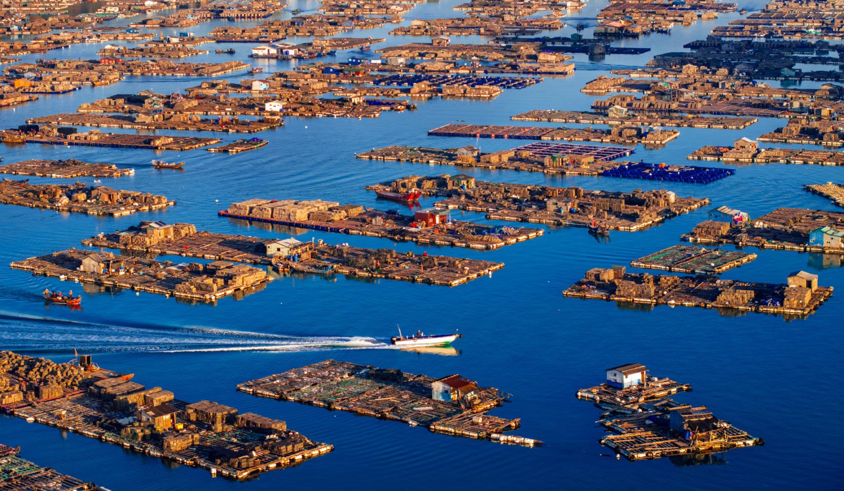 ����ʡ�������B���h�������_�岼���B(y��ng)ֳ�W(w��ng)�������ɘ��z