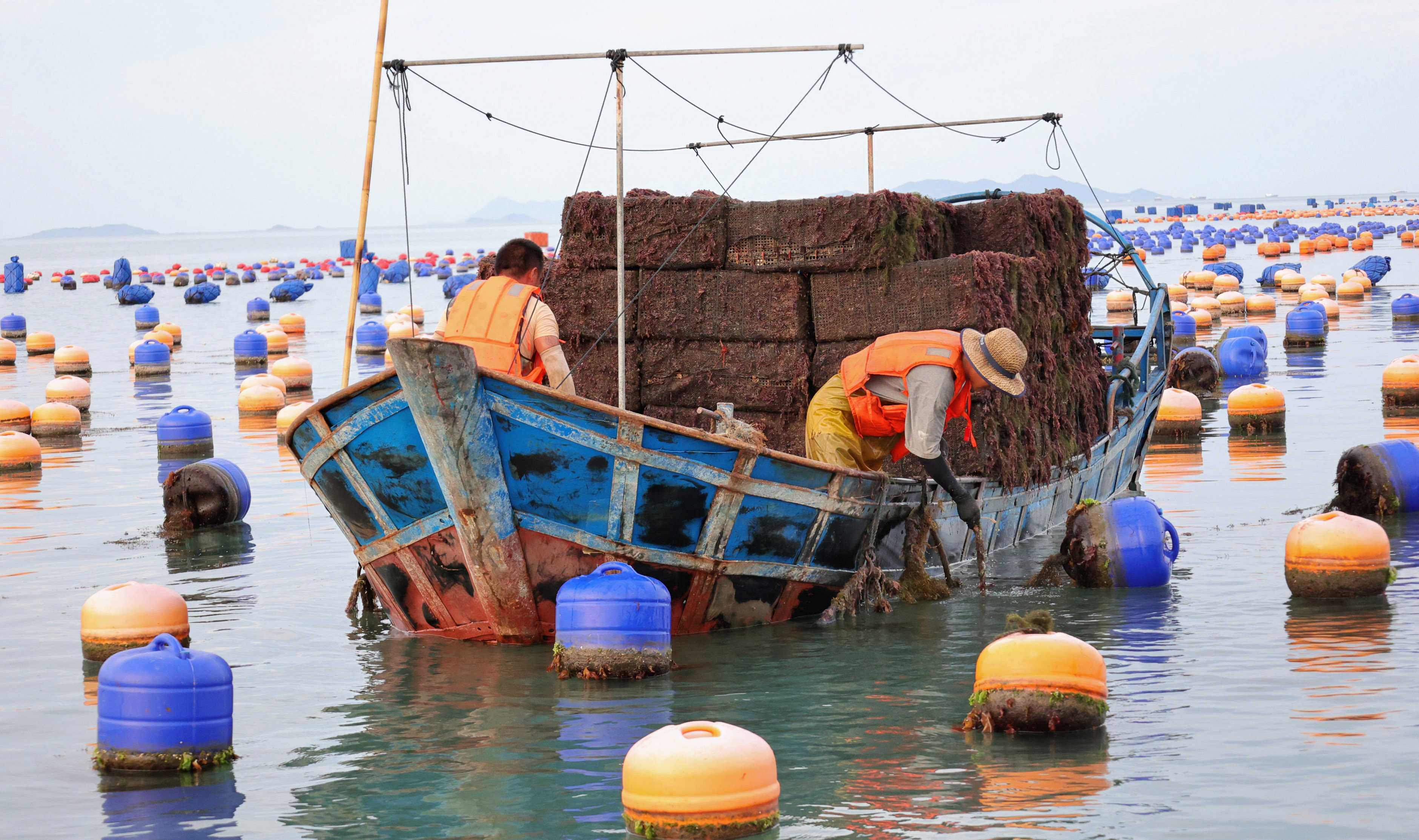 �O����æ������ѳ�����U�~������ٻ�z