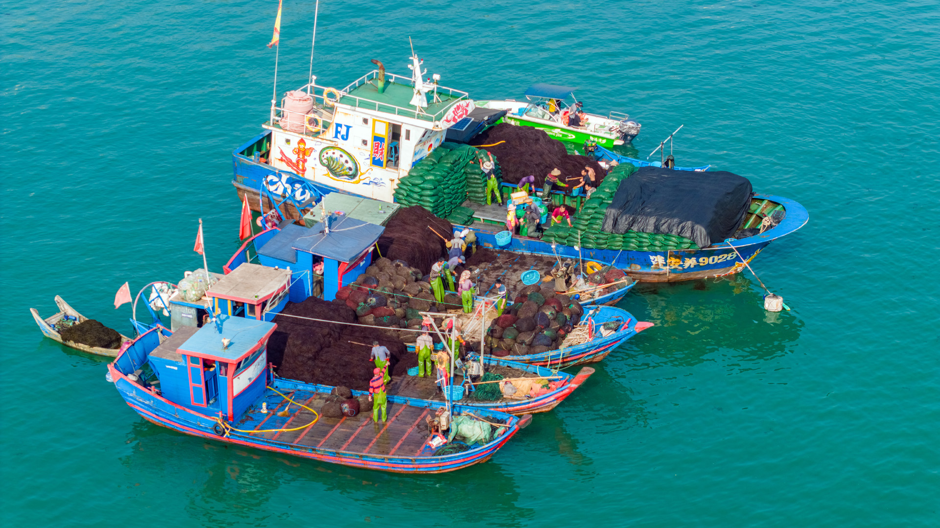 ��횲�ӭ���S�������ɘ��z