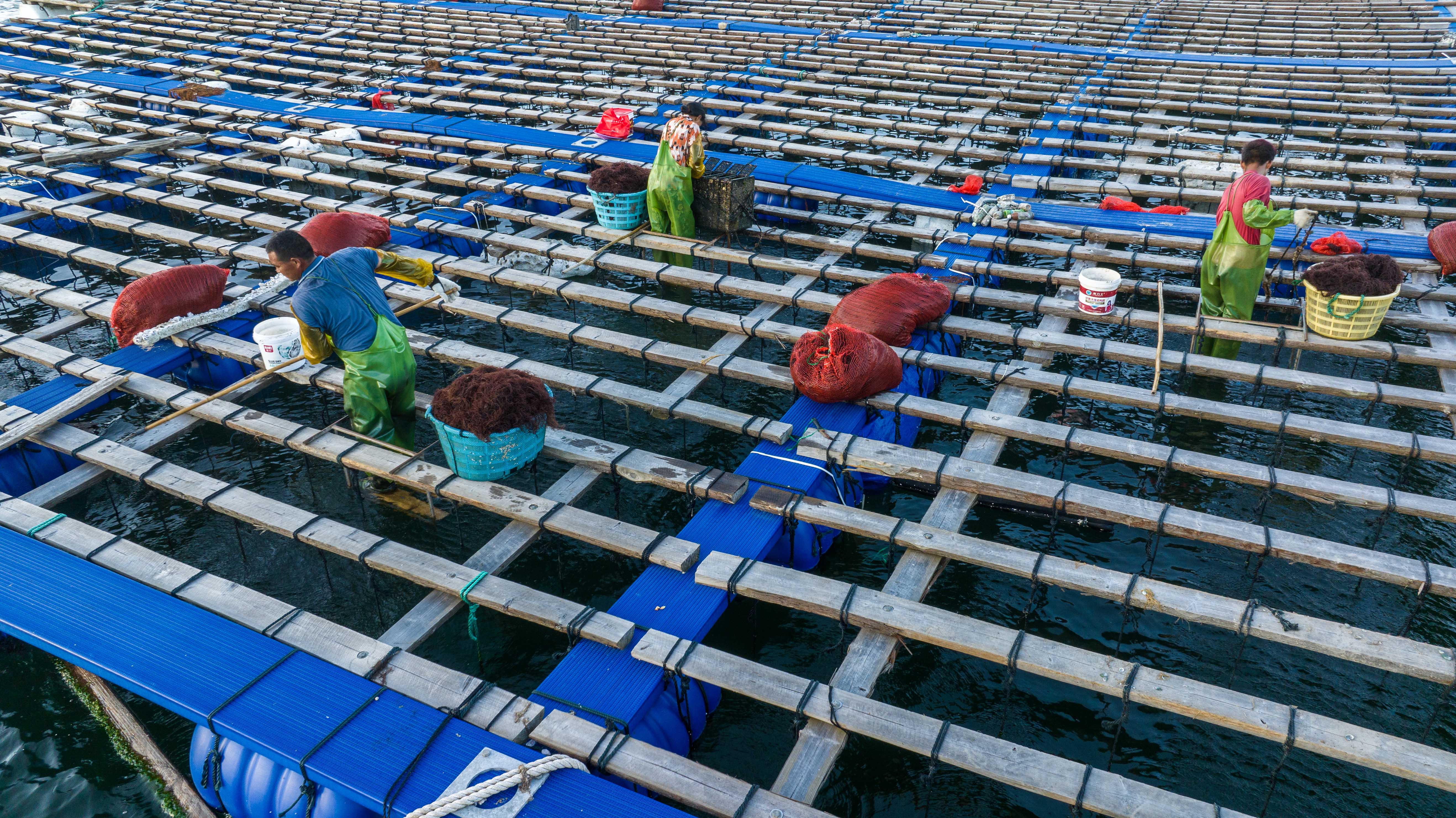 ����ʡ�������B���h���_(d��)��ĝO�����ڽo�U�~(y��)ιʳ�����ɘ�(l��)�z