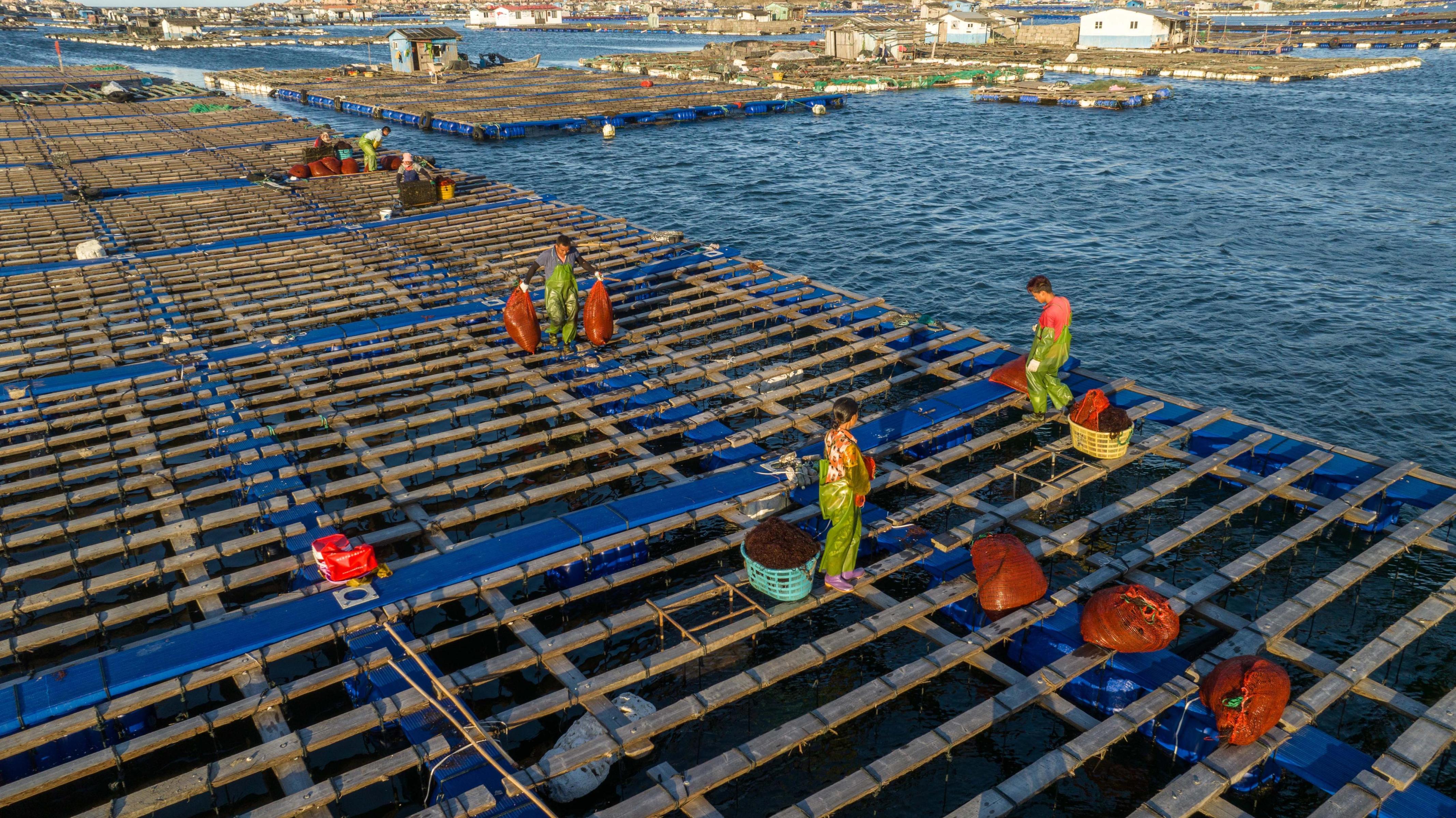 �O�����ڽo���L�е��U�~Ͷ����������ɘ��z