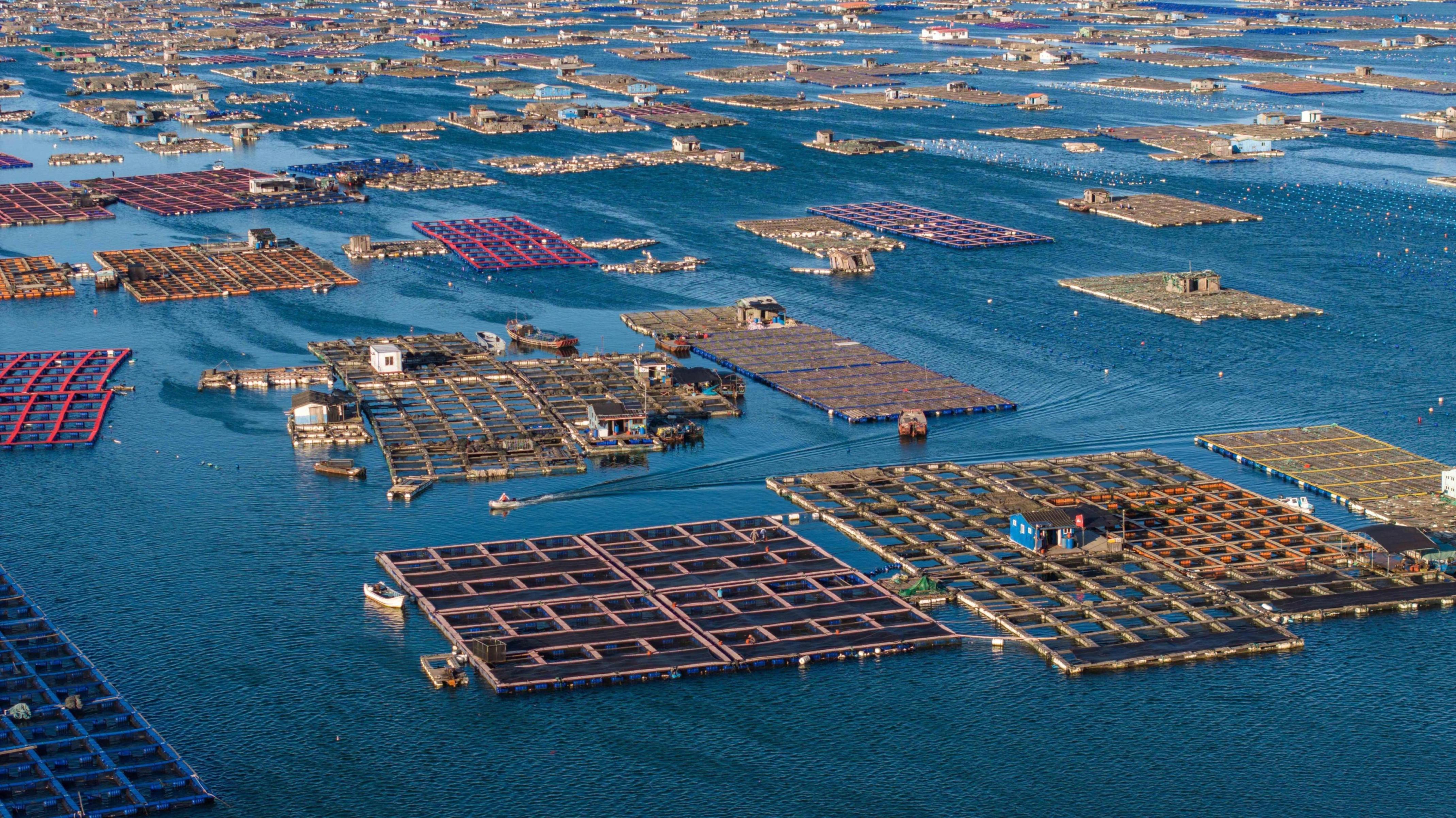 �ĸ߿ո��ĸ���ʡ�B���h����������һ���������������O���D�����ɘ��z