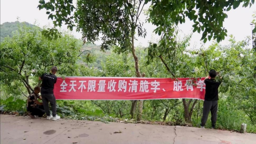 ��(ji��n)�(y��ng)���Z���(zh��n)�����Ֆ|�����ˡ�ȫ�첻������ُ(g��u)�������Ó����ęM�������L�߹��D