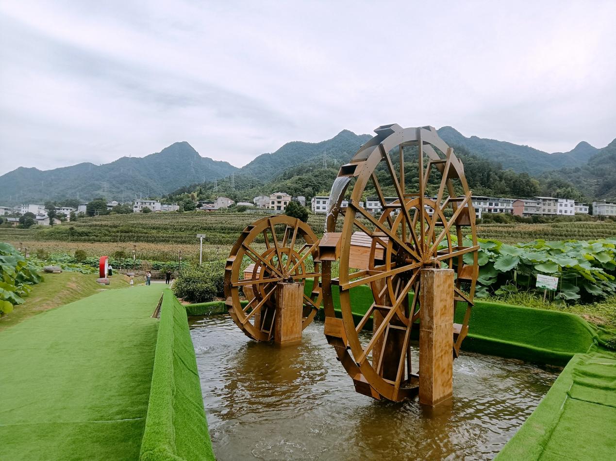 ��ꖿh��ƺ�(zh��n)�BƬ�����r(n��ng)�����ںϰl(f��)չʾ����������W(w��ng)ӛ�� ��z