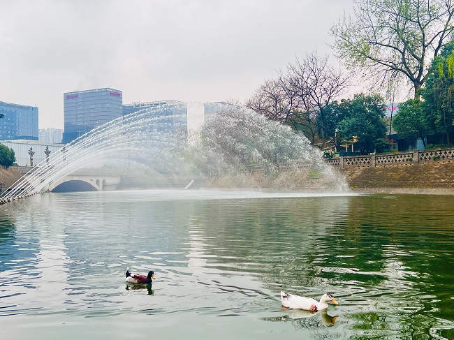 ��������o(h��)�Ǻ����T���L(f��ng)��������W(w��ng) �W��׼єz