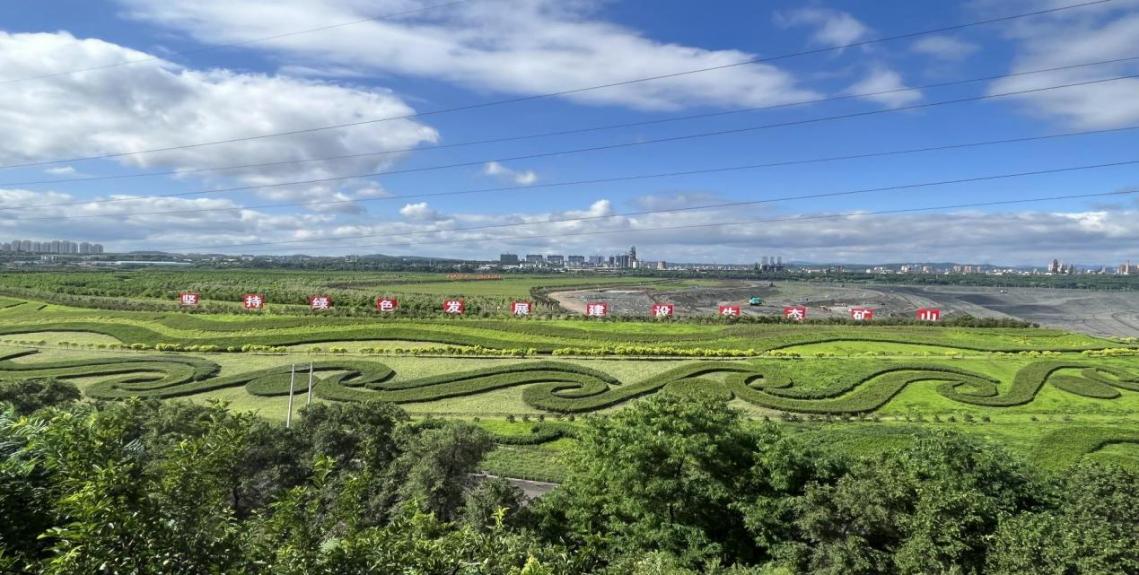 ��¶��V�ġ��V��ɭ�֡������L�߹��D