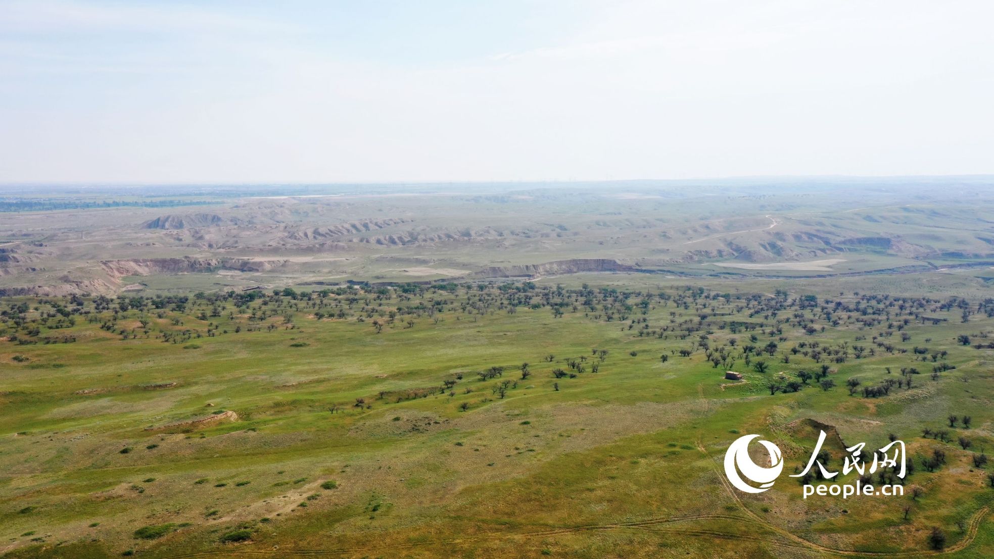 八步沙林場航拍。人民網(wǎng) 記者王天樂攝