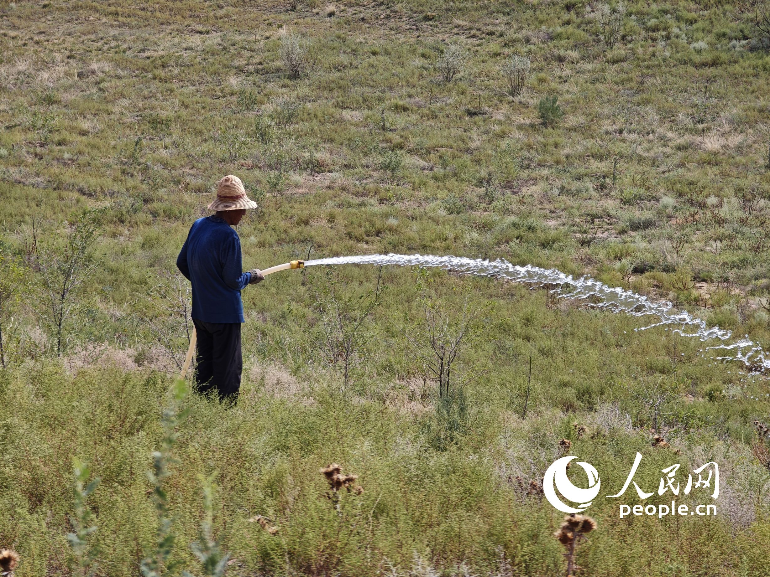 �˲�ɳ�ֈ����������I(y��)�� ����W(w��ng)ӛ�� ���옷�z