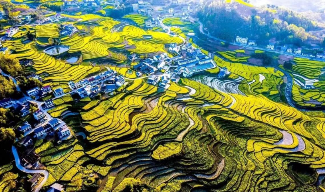 ����h��P����� ˮ�������D