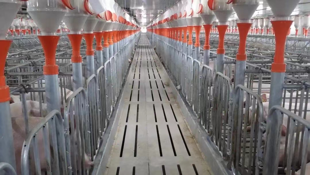 ��ϣ�����F(tu��n)�ǻ��B(y��ng)�i�������L�߹��D