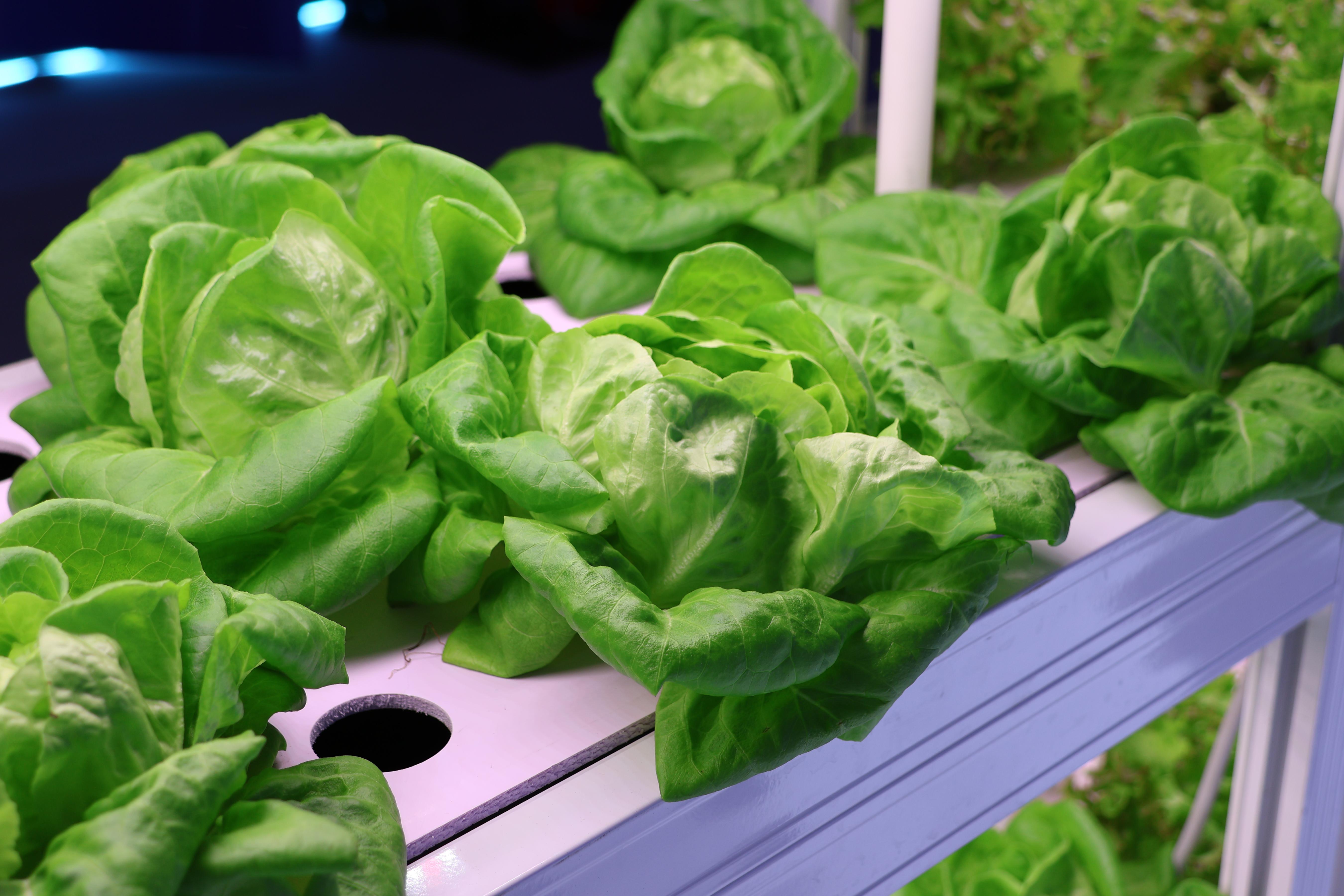 ����һ�I�O(sh��)���Ԅ��\(y��n)�С�����΢���B(t��i)�o������ϵ�y(t��ng)�����ܼ�ͥ�Nֲ�C(j��)����עĿ����(sh��)��(x��)�� ��Ʒ�ܔz