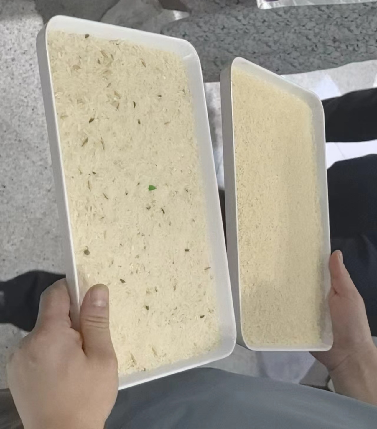 智能色選機(jī)數(shù)秒即可完成大米篩檢（右）。人民網(wǎng) 方經(jīng)綸攝