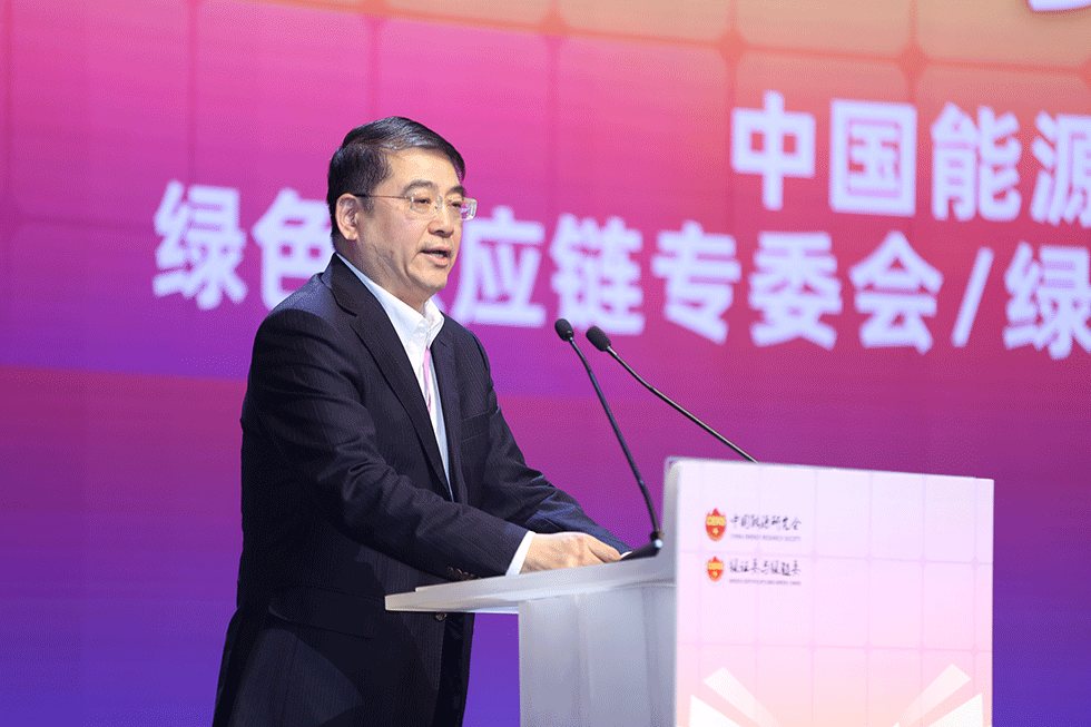 中國能源研究會綠色供應(yīng)鏈專委會主任丁揚致辭。主辦方供圖