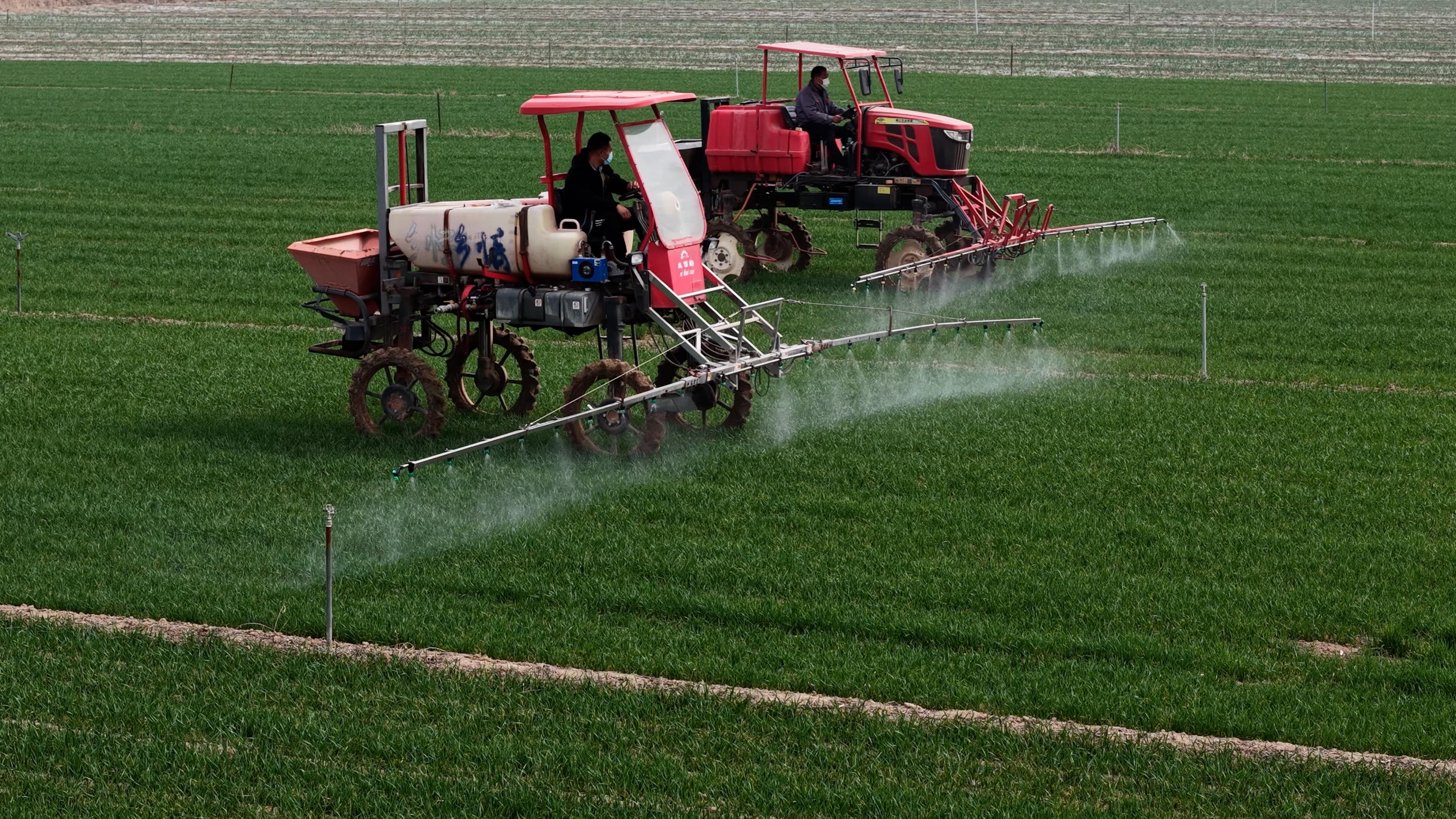 在山東濟(jì)寧嘉祥縣高標(biāo)準(zhǔn)農(nóng)田里，自走式植保機(jī)為返青期小麥噴灑營養(yǎng)肥。人民網(wǎng)記者 王天樂攝