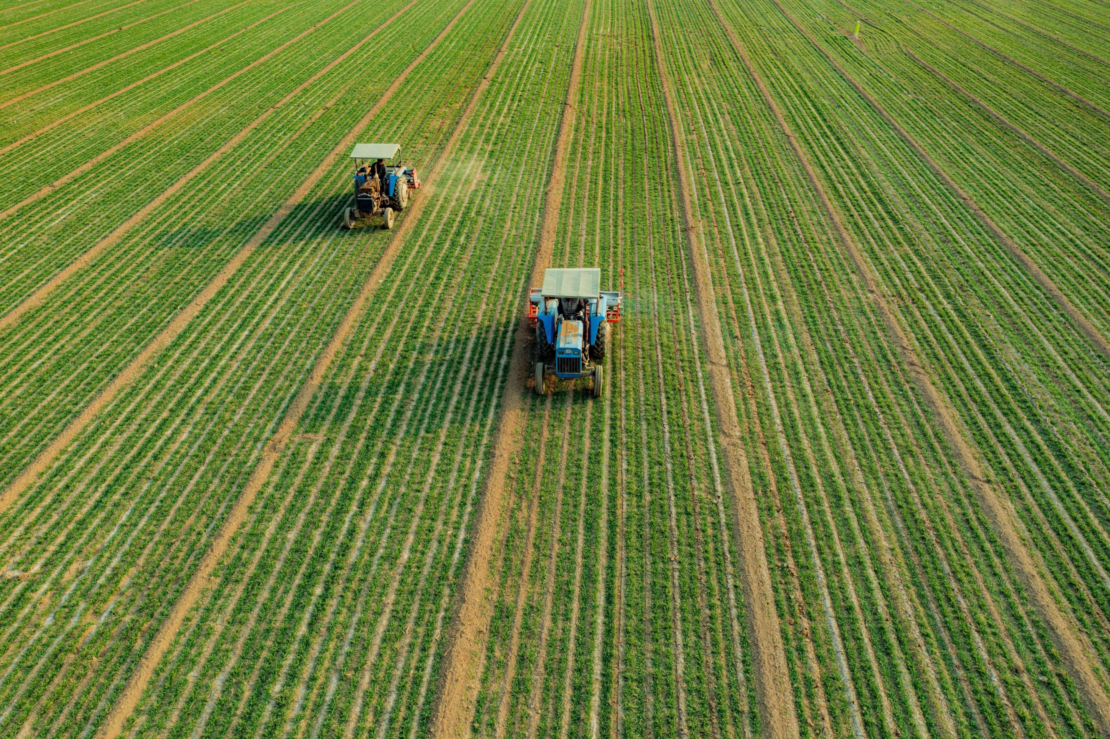山東濟寧汶上縣苑莊鎮(zhèn)種糧大戶對返青期小麥追肥。人民網(wǎng)記者 李棟攝