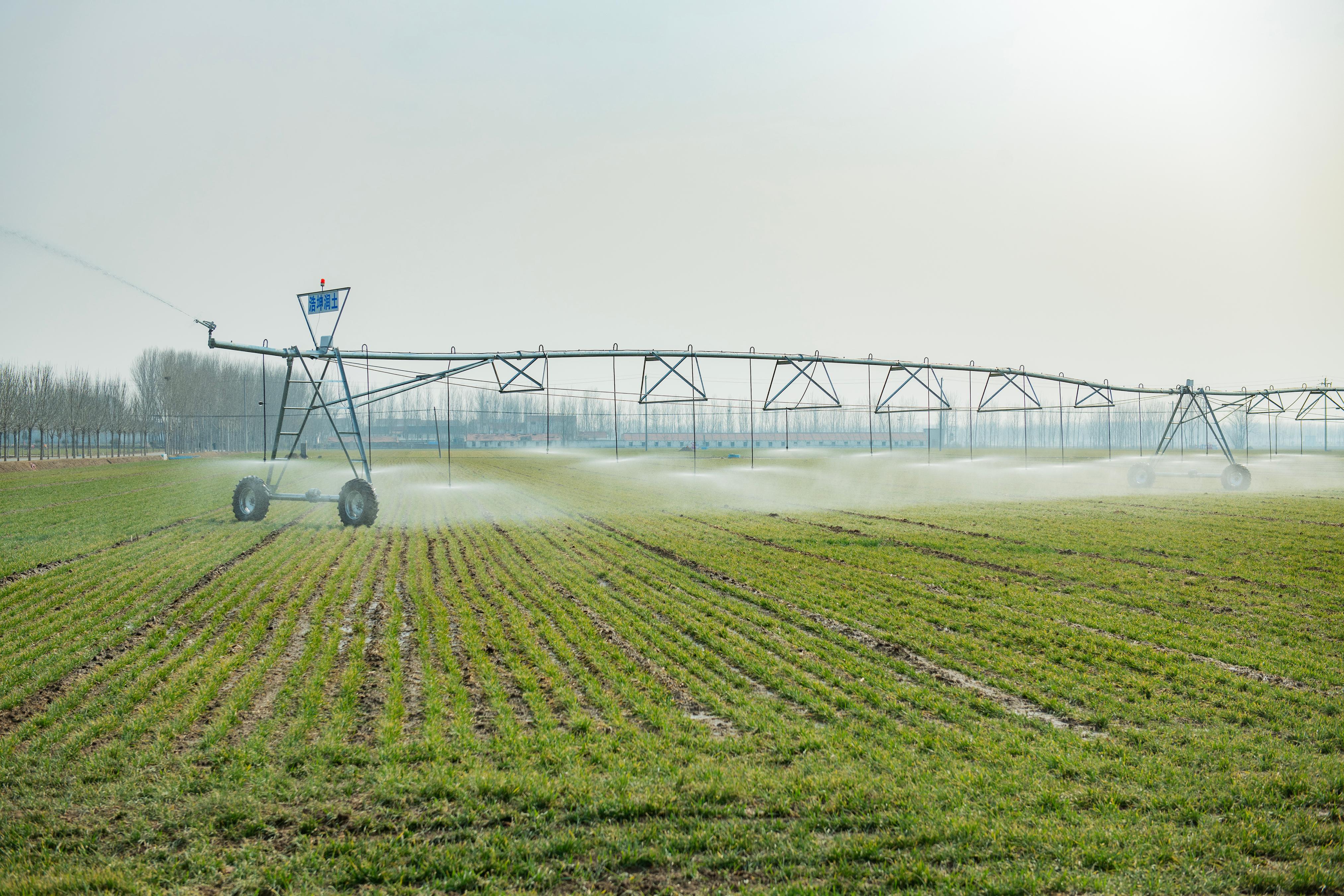 山東濟寧汶上縣南站街道大街村種糧大戶使用自走式噴灌機澆灌小麥。楊國慶攝