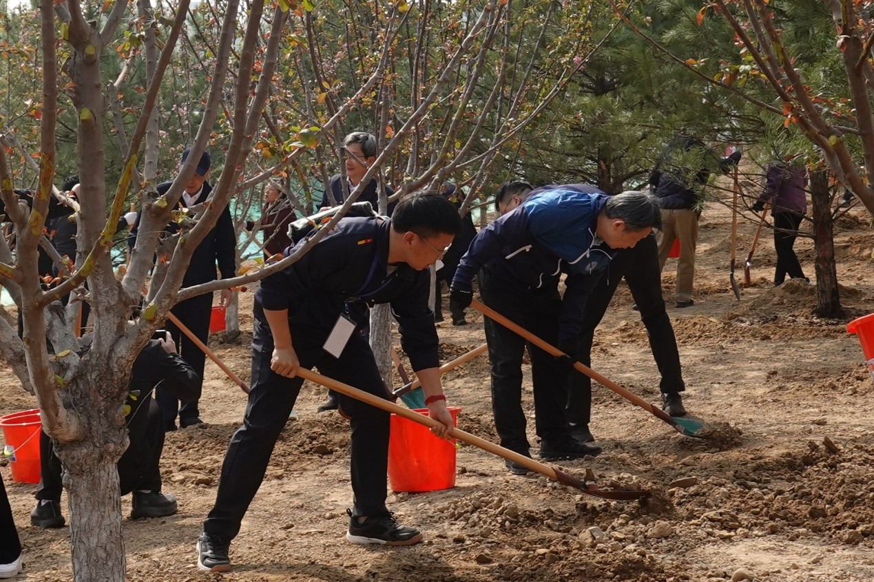 2025年共和國部長義務(wù)植樹活動(dòng)現(xiàn)場。人民網(wǎng) 唐佳攝