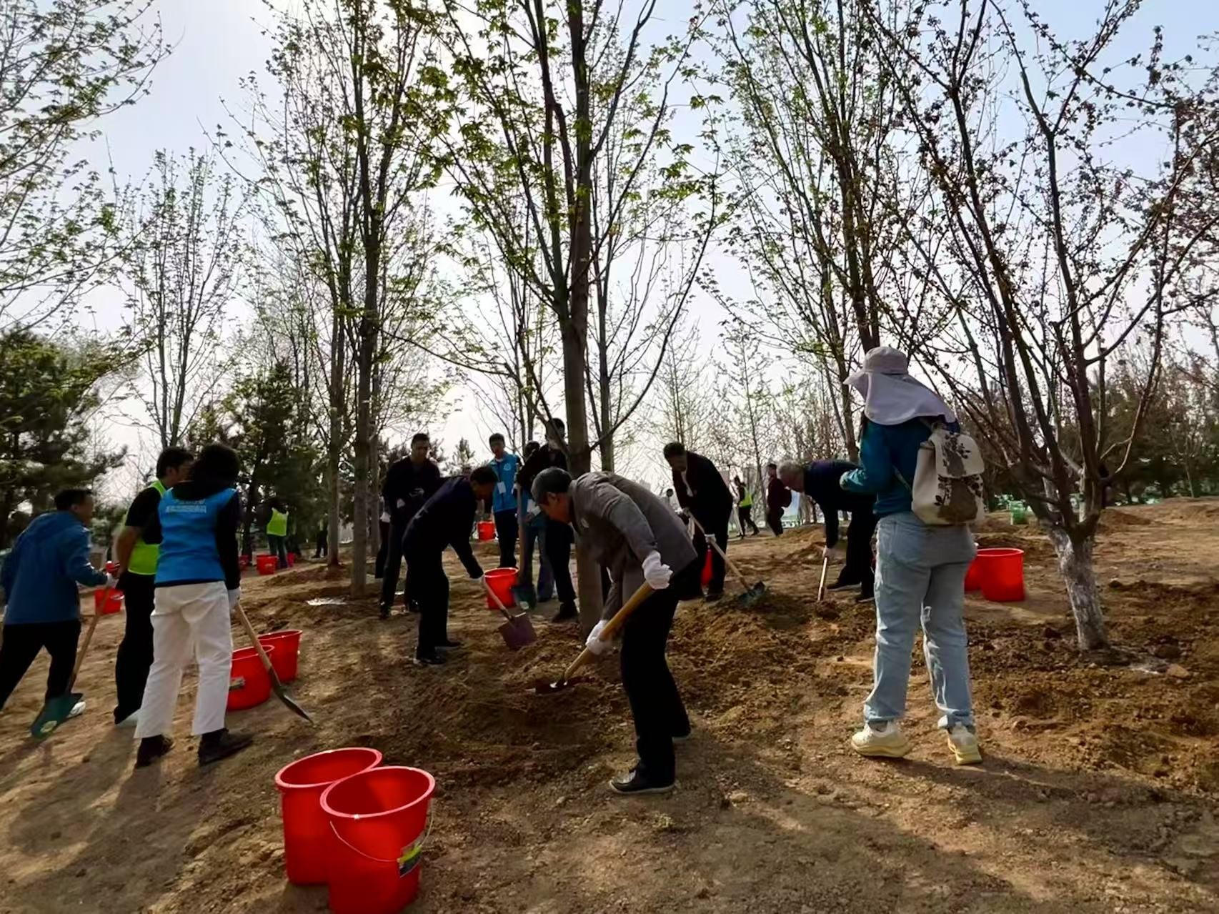 2025年共和國部長義務(wù)植樹活動現(xiàn)場。人民網(wǎng) 唐佳攝