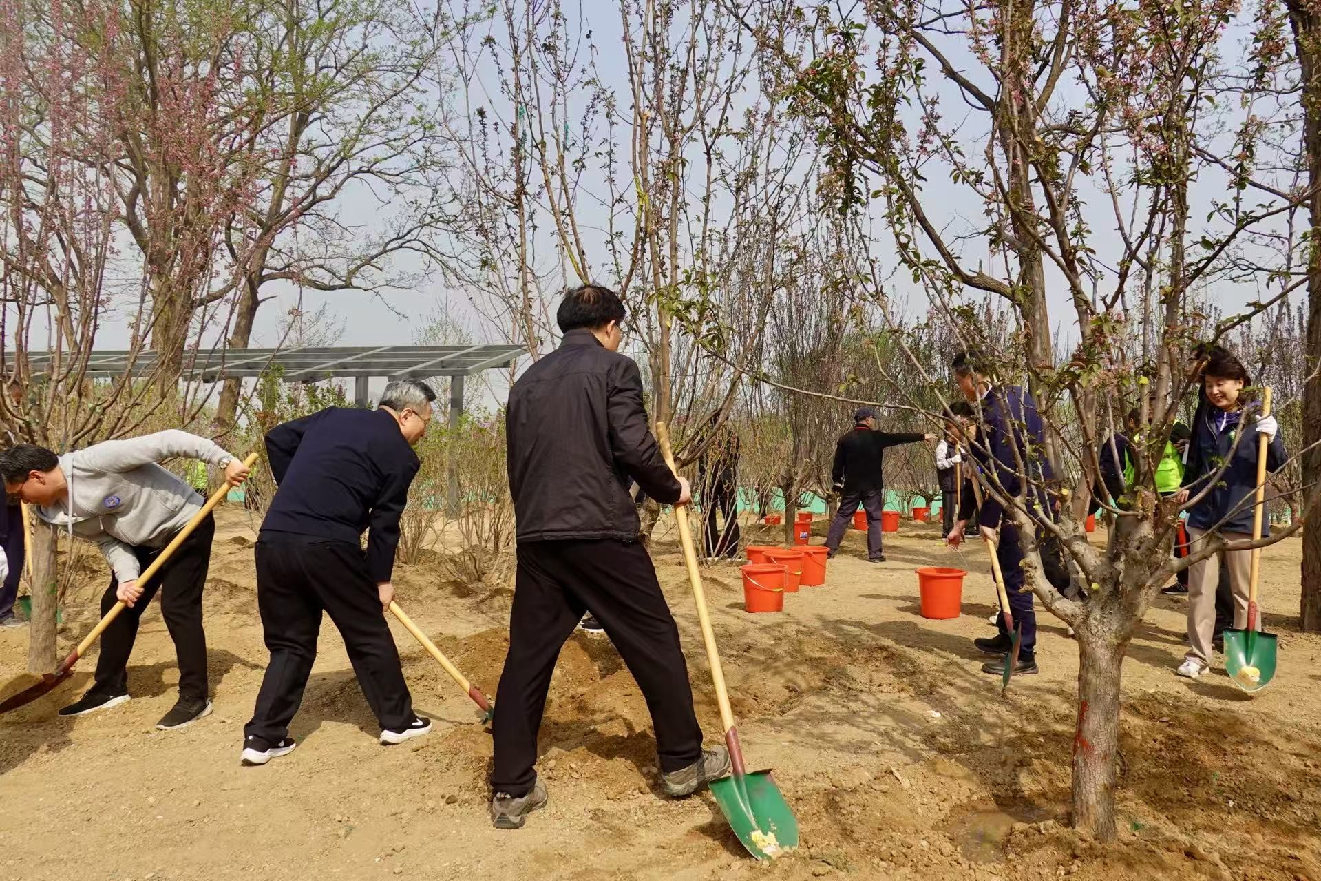 2025年共和國部長義務(wù)植樹活動(dòng)現(xiàn)場。人民網(wǎng) 唐佳攝