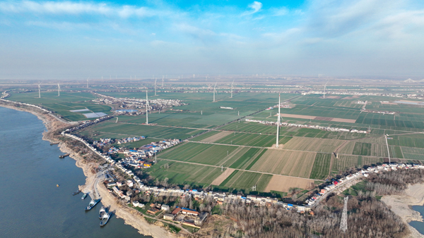 棉船島風(fēng)電項(xiàng)目全容量并網(wǎng)發(fā)電。受訪者供圖