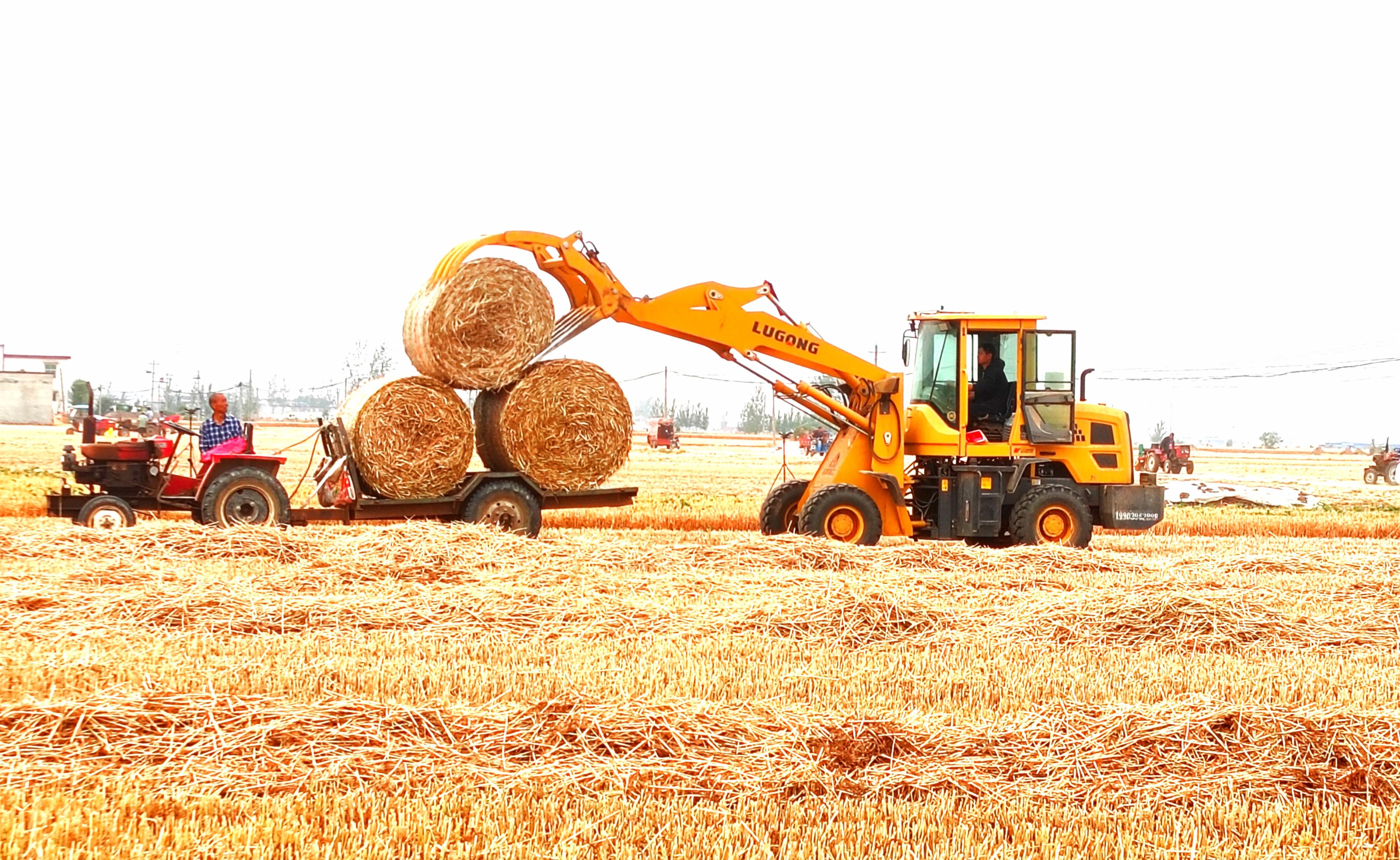 夏收期間,河南周口商水縣郝崗鎮(zhèn)三義村的農(nóng)戶忙著打捆和運輸秸稈。袁春麗攝