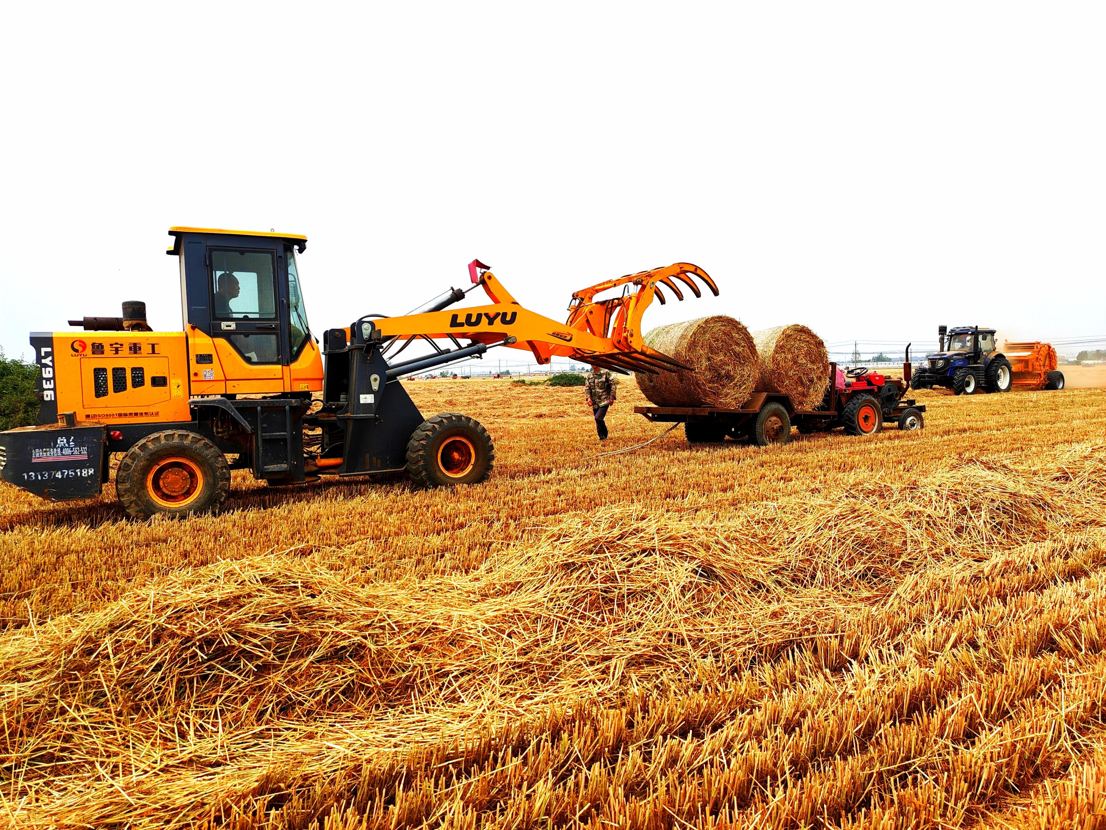 河南周口商水縣的農(nóng)戶忙著打捆秸稈。袁春麗攝