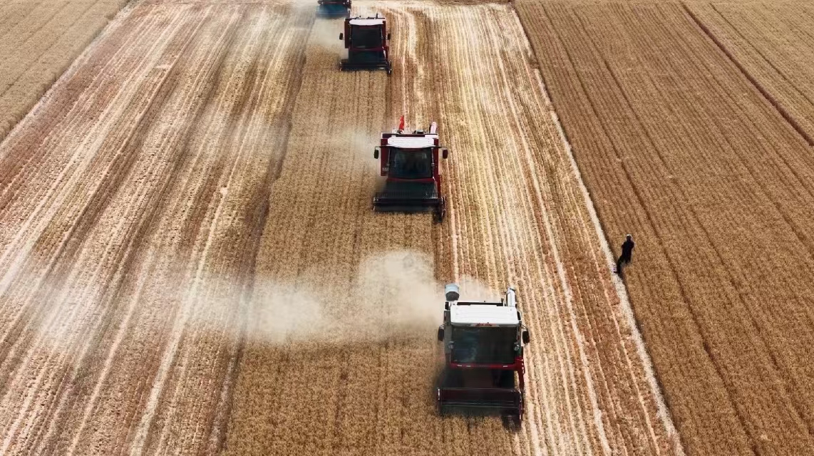 把“豐收在田”變“豐收到手”，大馬力農(nóng)機(jī)是保障。人民網(wǎng)記者 王天樂攝