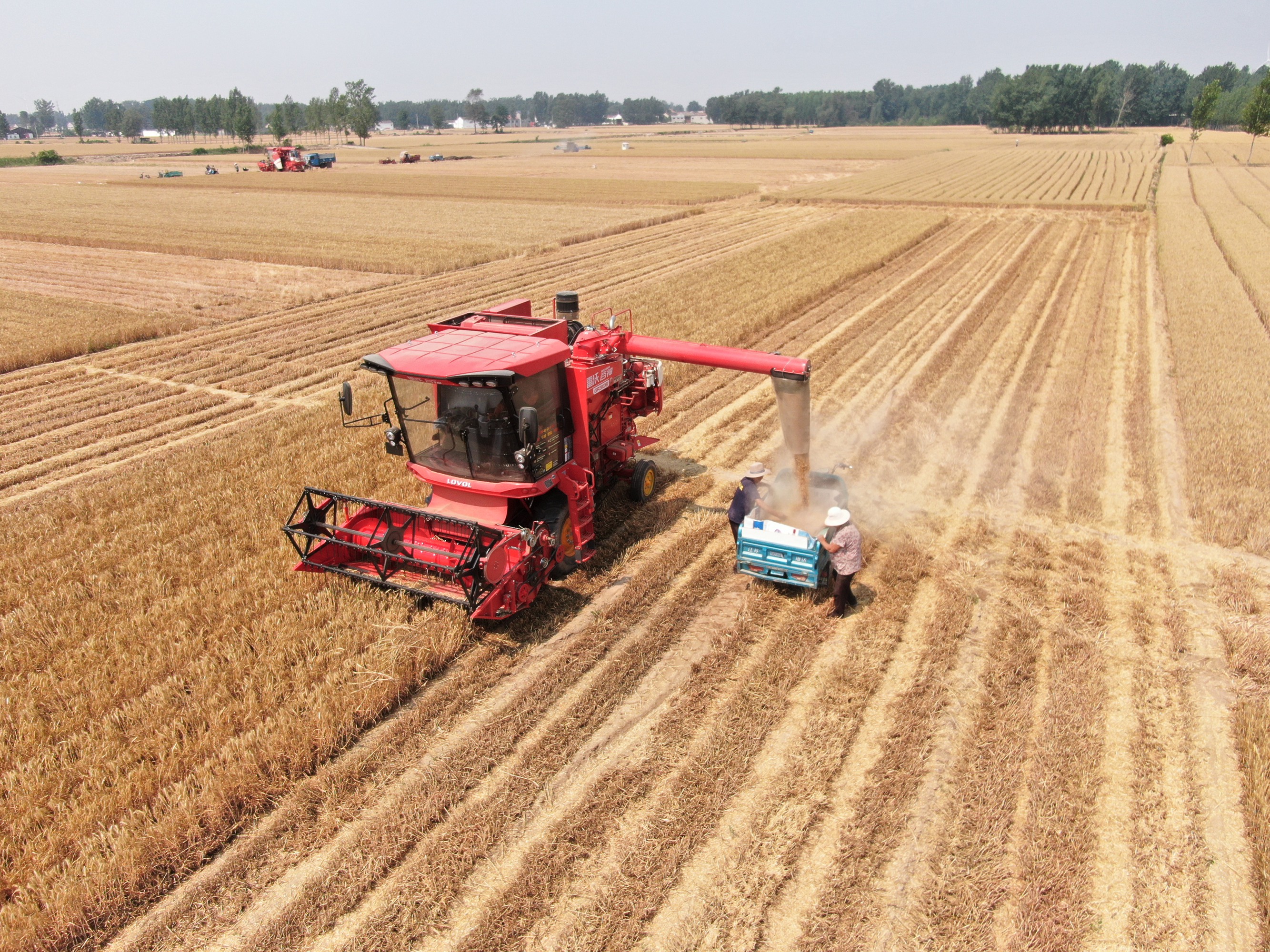 在河南安陽內(nèi)黃縣，麥收加速推進。劉肖坤攝