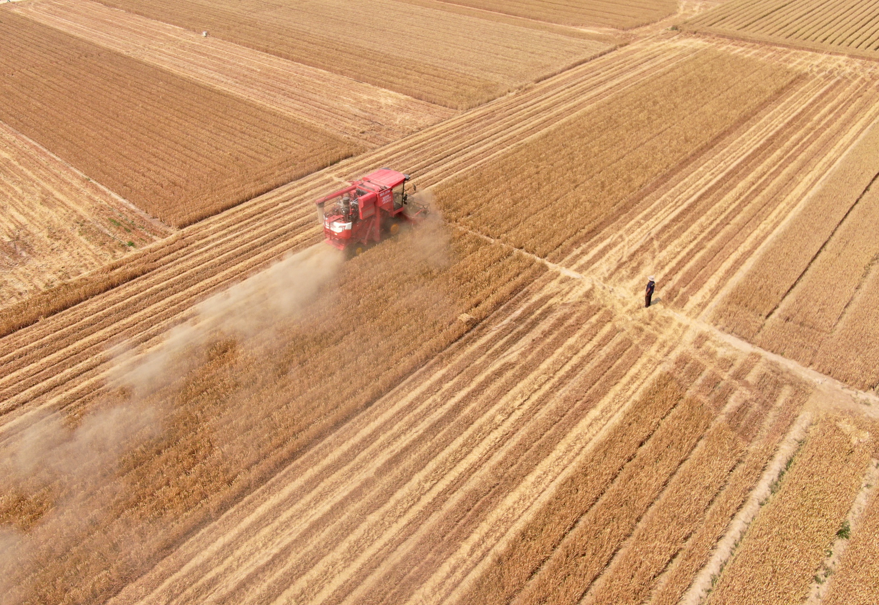 安裝了北斗導(dǎo)航系統(tǒng)的收割機(jī)，讓夏糧機(jī)收更及時(shí)、更快捷。劉肖坤攝