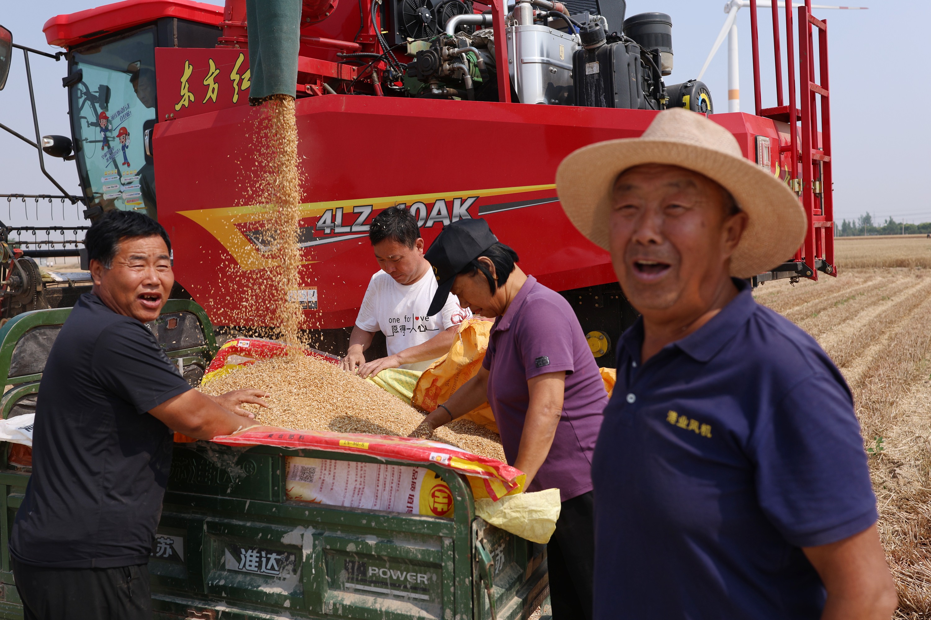 河南安陽內(nèi)黃縣農(nóng)戶喜獲豐收。劉肖坤攝
