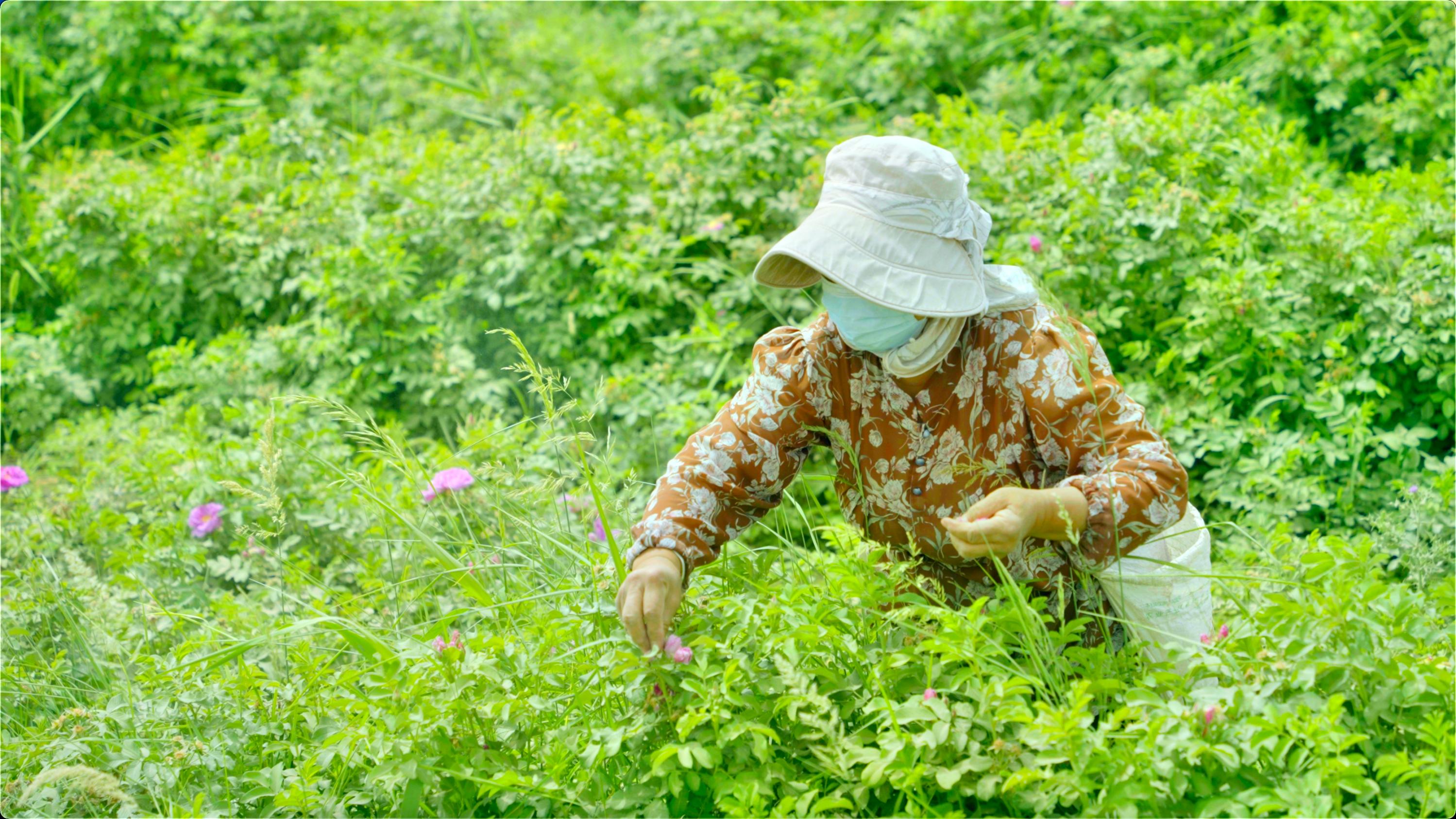 當(dāng)?shù)厝罕姴烧倒?。人民網(wǎng)記者 王天樂攝