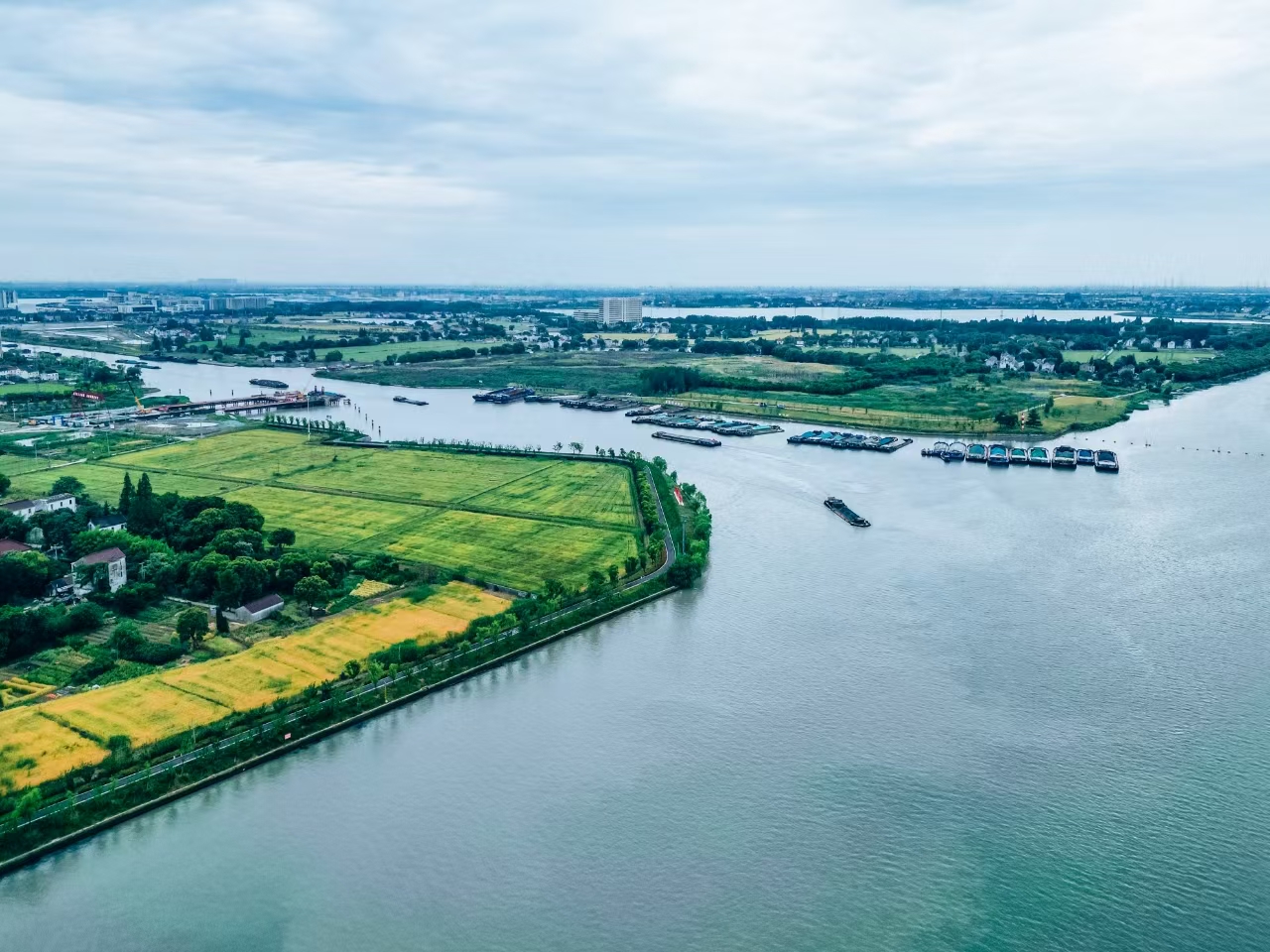 太浦河沿岸好風(fēng)光。吳橫軒攝