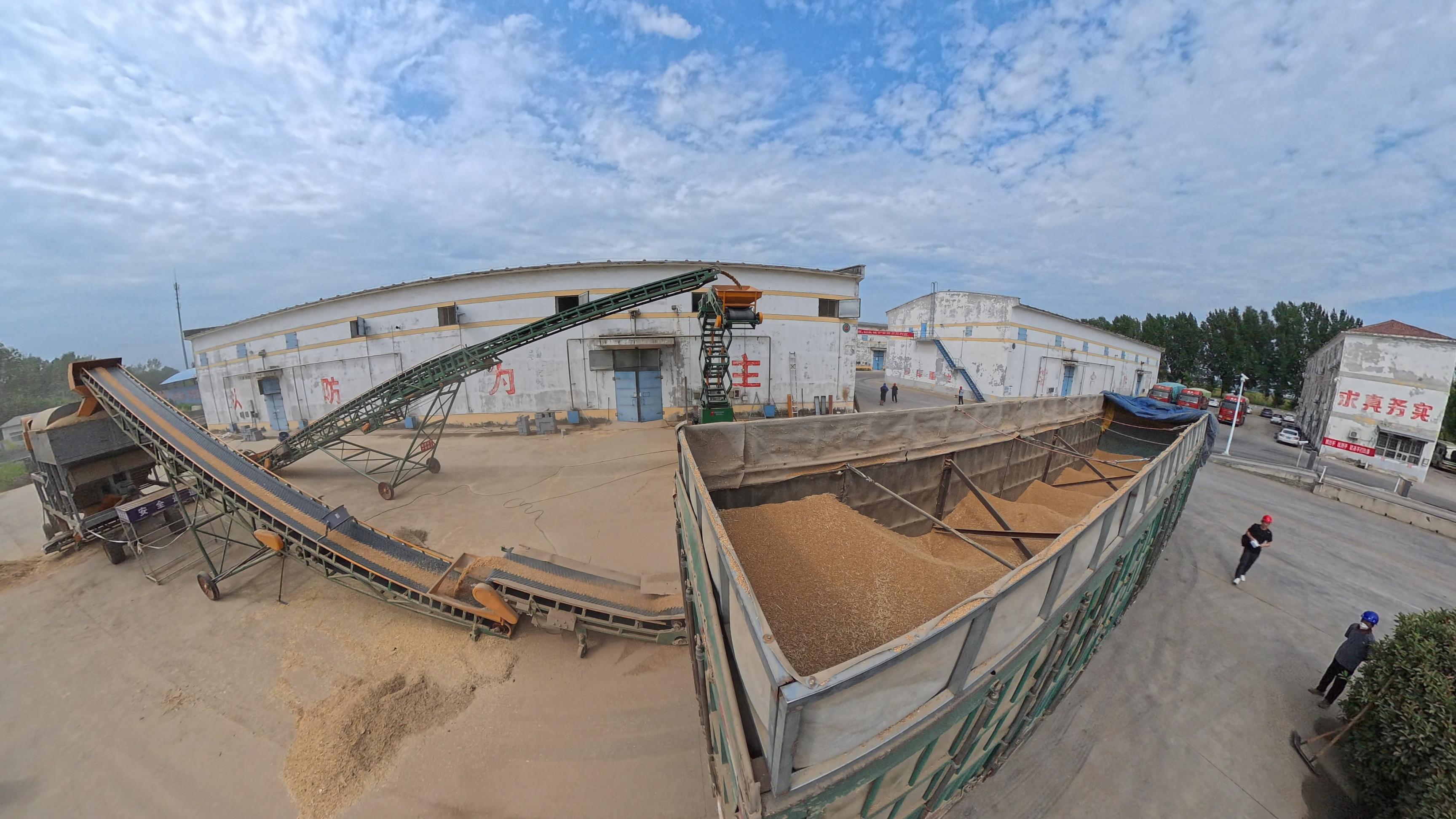 運糧車正在卸糧。人民網(wǎng)記者 王天樂攝