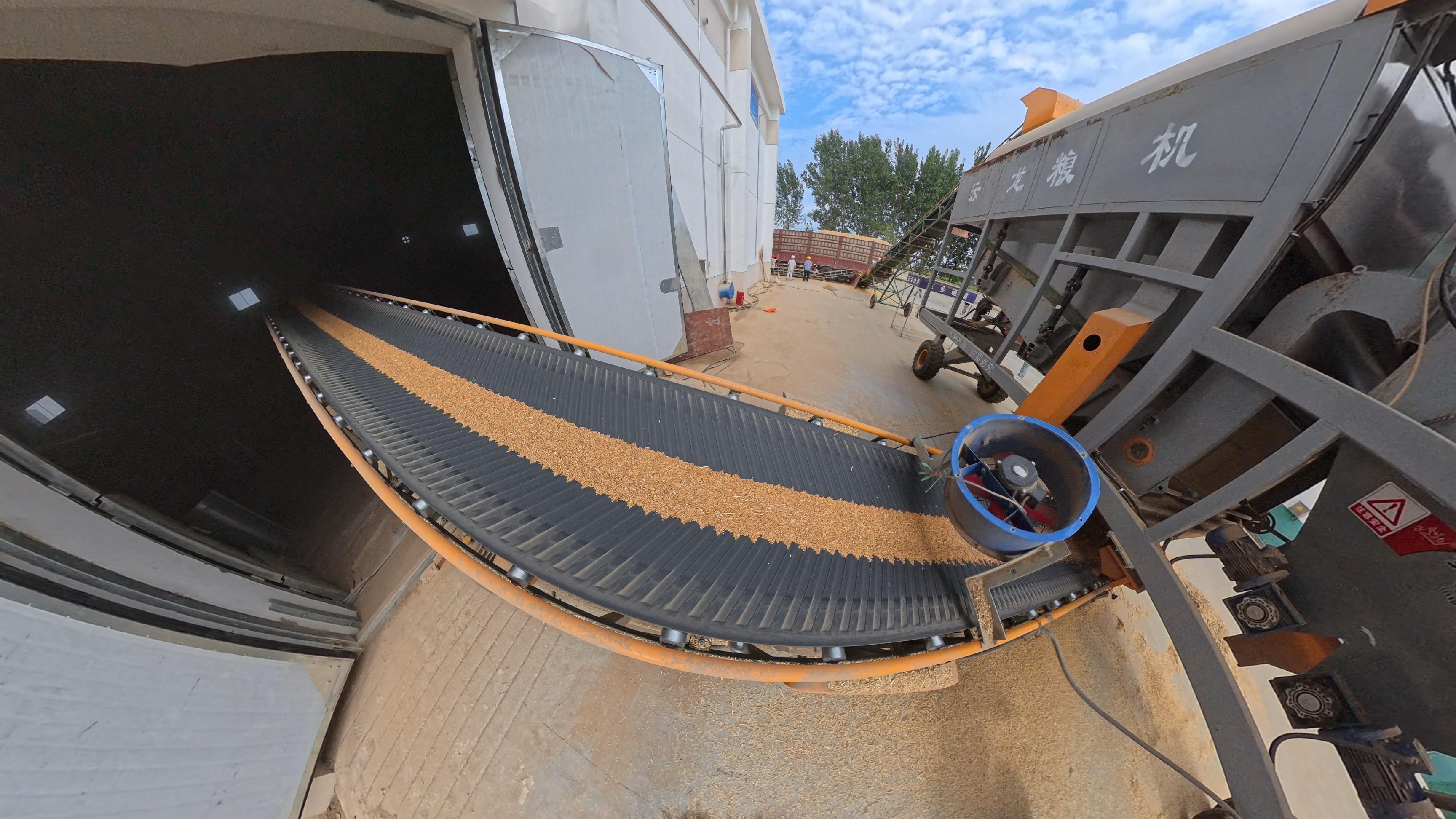 傳送機(jī)正在往糧庫輸送小麥。人民網(wǎng)記者 王天樂攝