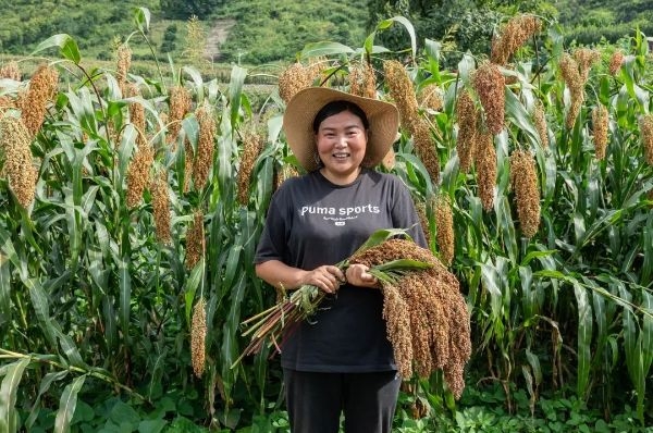 糧農(nóng)王滿迎來了豐收的喜悅。受訪者供圖