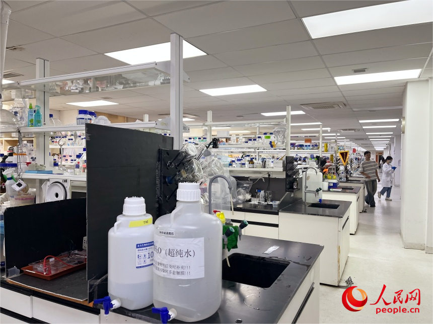 福建農(nóng)林大學(xué)實驗室。人民網(wǎng)記者 林銘賢攝