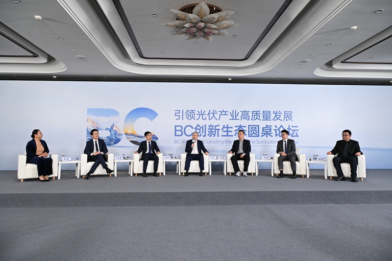 圓桌論壇現(xiàn)場。受訪者供圖