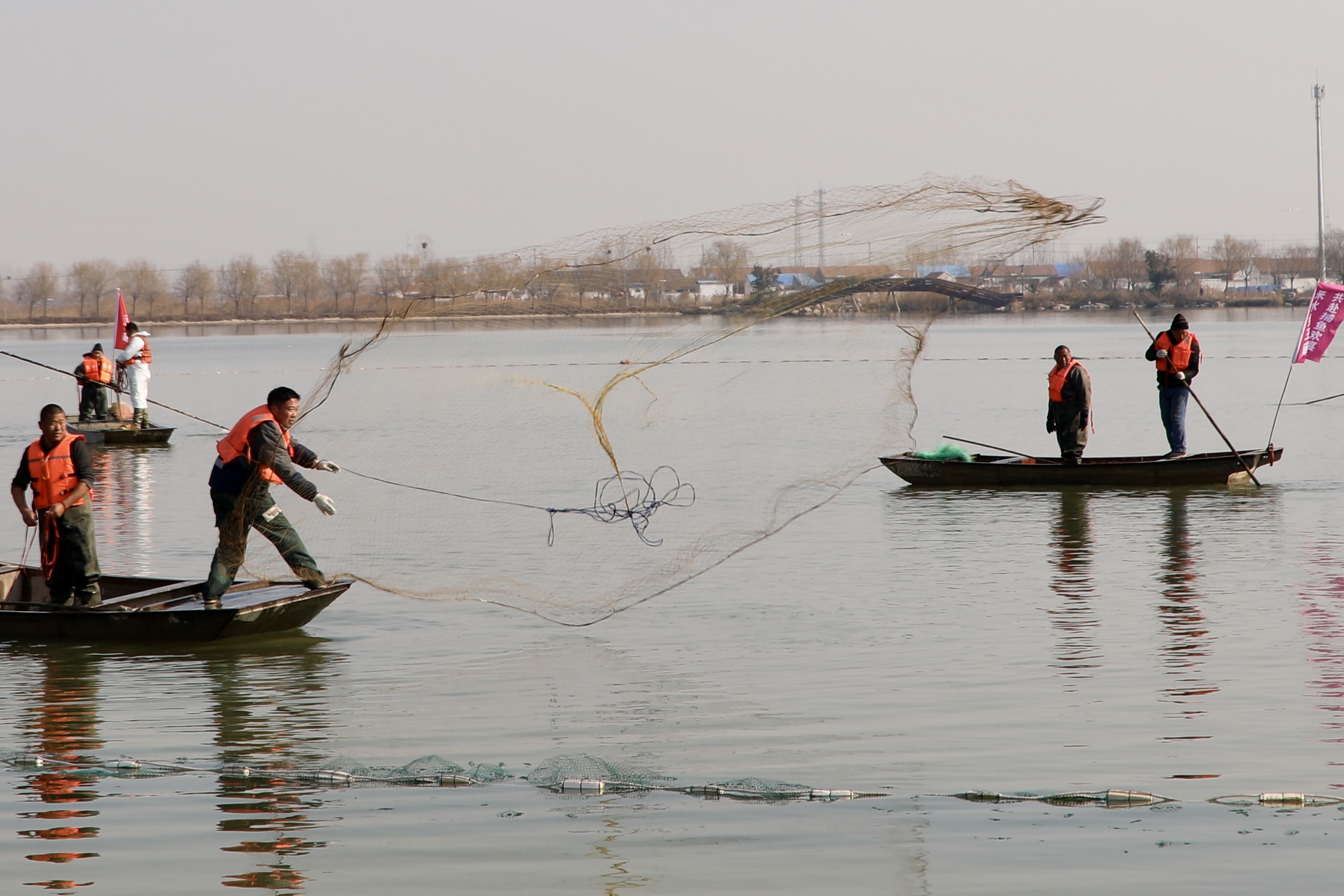 船工在湖上撒下大網(wǎng)開始捕魚。人民網(wǎng)記者 王天樂攝