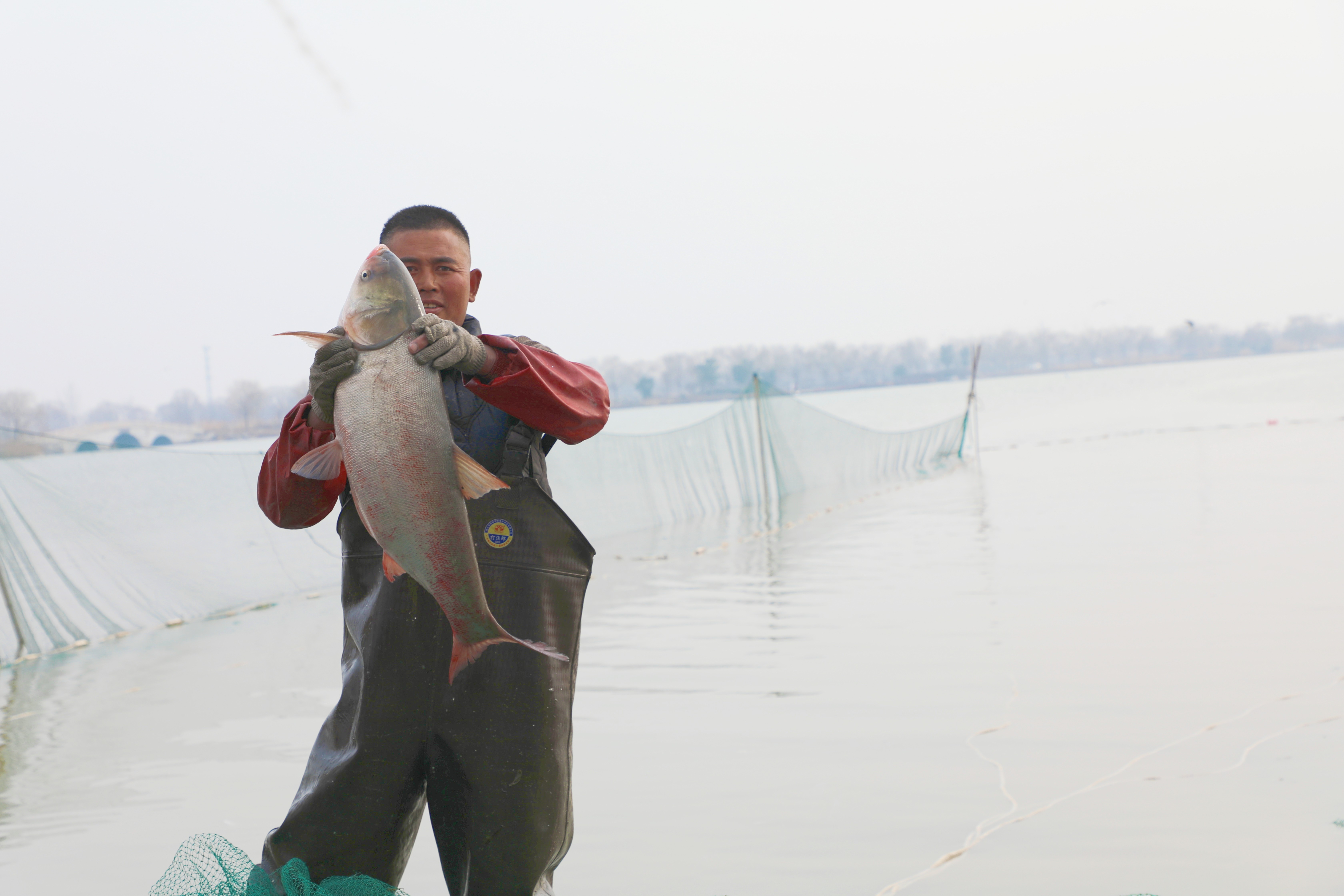 捕上來的“福魚”。人民網記者 王天樂攝