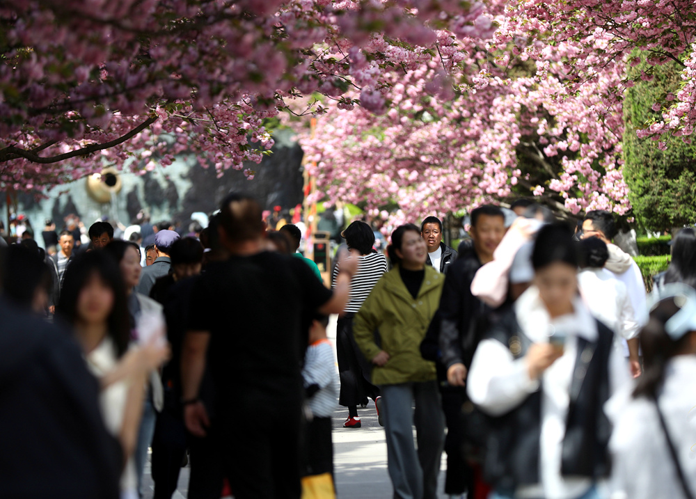 游客在景區(qū)漫步。主辦方供圖