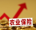 【財經(jīng)茶座】 多措并舉提高農(nóng)業(yè)保險理賠效率