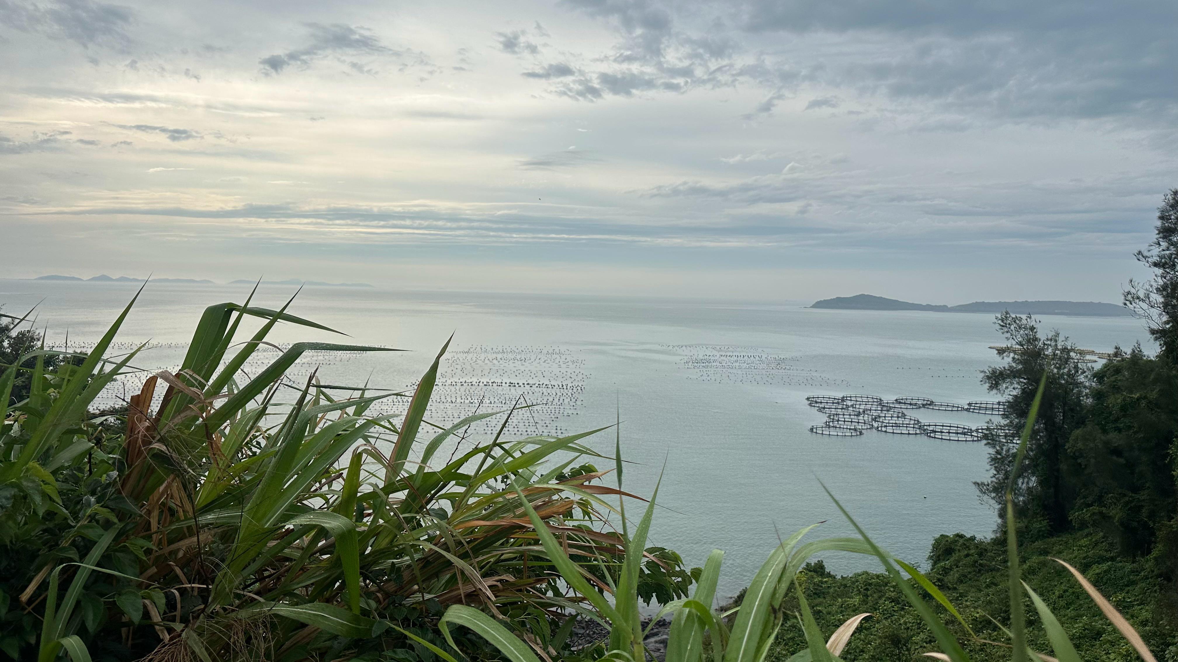 大陳島海邊。人民網(wǎng)記者 王紹紹攝