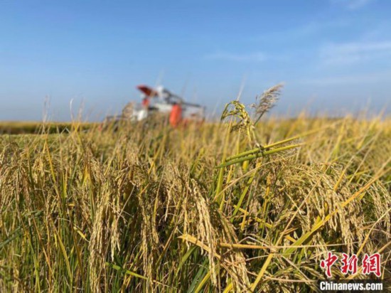 �Y�ψD�����| �z